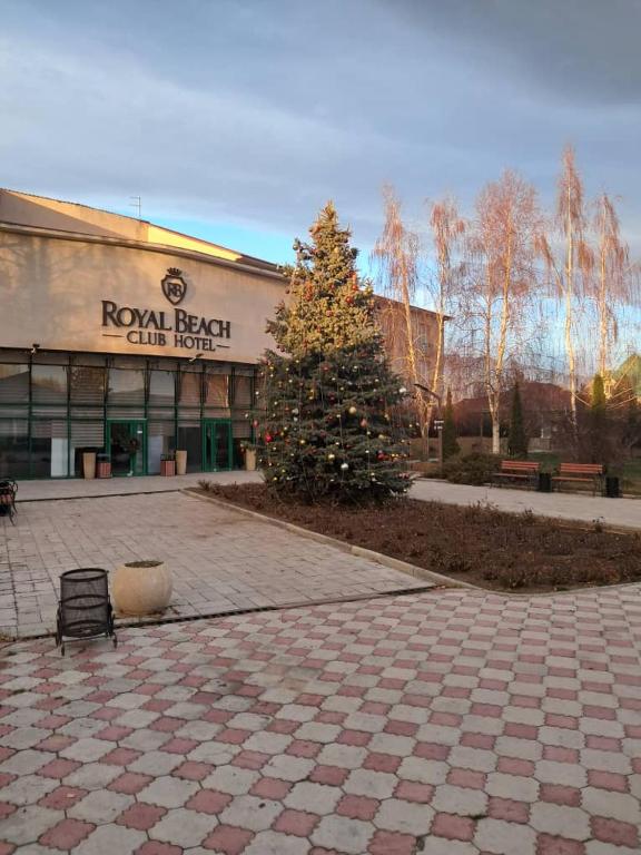 a christmas tree in front of a building at Royal Beach Cottage Issyk Kul in Chok-Tal
