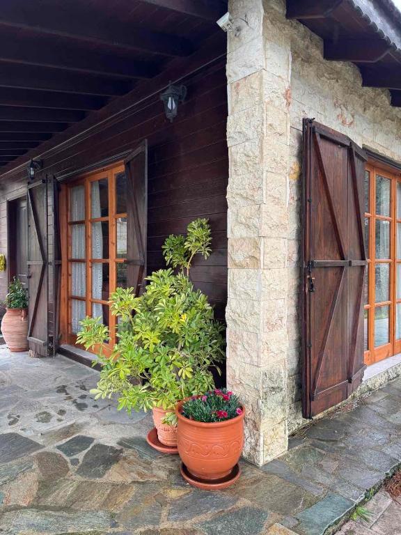 an entrance to a building with potted plants and a door at Η σπηλιά του Θουκυδίδη in Spilia