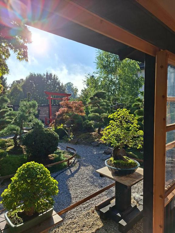 a garden with bonsai trees and a red gate at Hotel Maj Inn in Moravske-Toplice