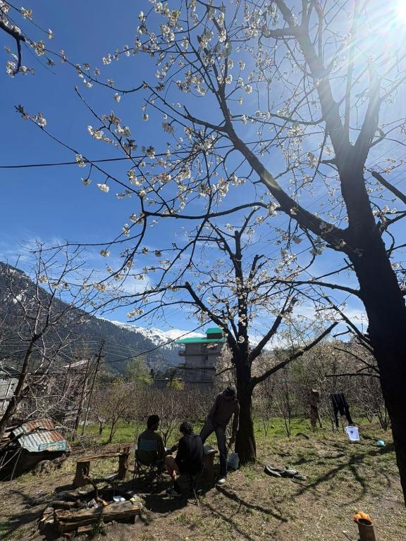 a group of people sitting on a bench under a tree at Raahi Roots in Vashisht