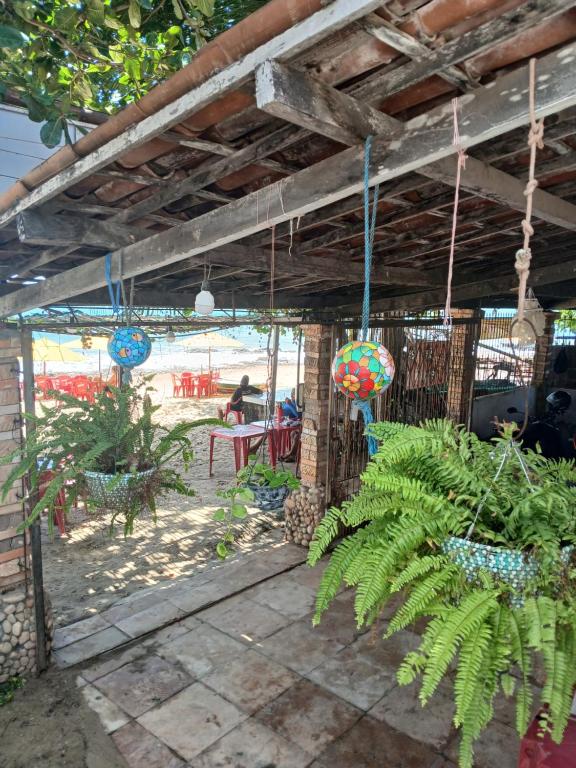 a patio with plants and potted plants at Pé na praia - Barraca da Márcia in Paracuru