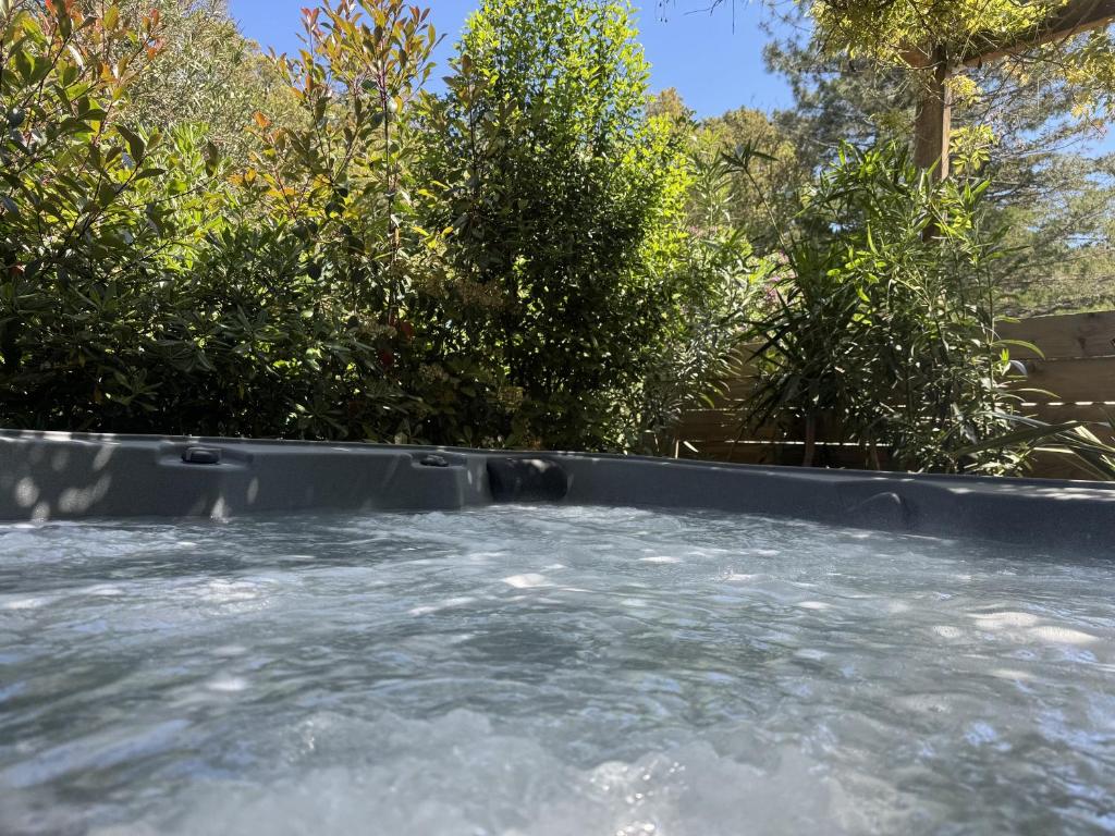a plunge pool of water with trees in the background at Chambres d'Hôtes Terra Bella in Lecci
