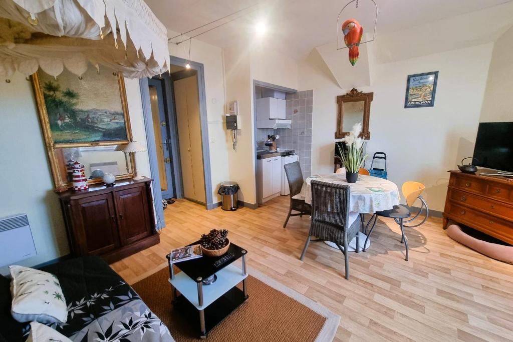 Comfortable studio in the heart of Arcachon