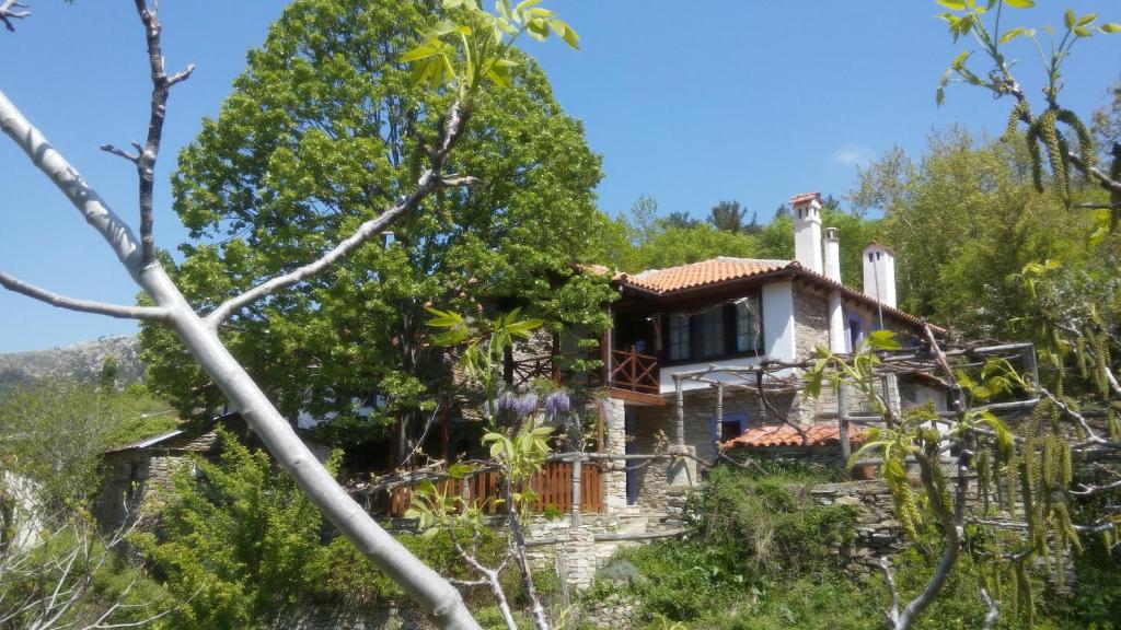 a house on a hill with trees at House Rodia in Prinos