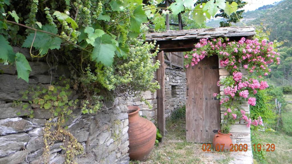A garden outside House Rodia