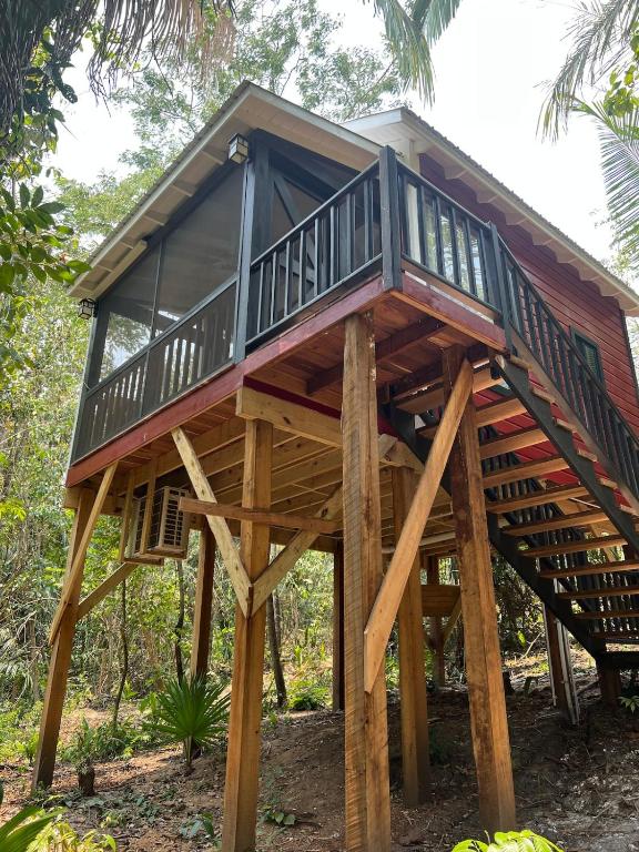 a tree house with a deck on logs at Enchanted Jungle Treehouse in Spanish Lookout