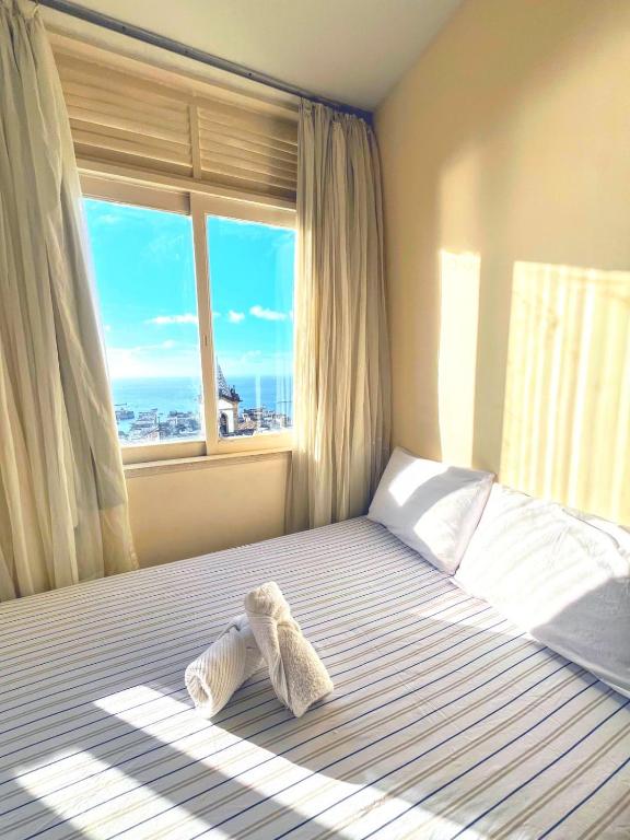 a stuffed animal is laying on a bed with a window at Melhor Localização do Centro Histórico de Salvador in Salvador