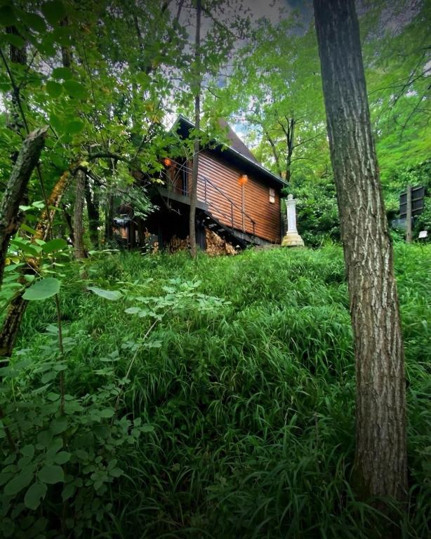a log cabin in the middle of a field of grass at Distrikt Ranč Platan - Jus naturale, Fruška gora in Vrdnik