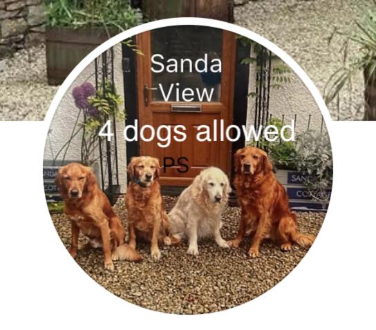 three dogs are sitting in front of a gate at Sanda View, Isle of Arran in Sliddery