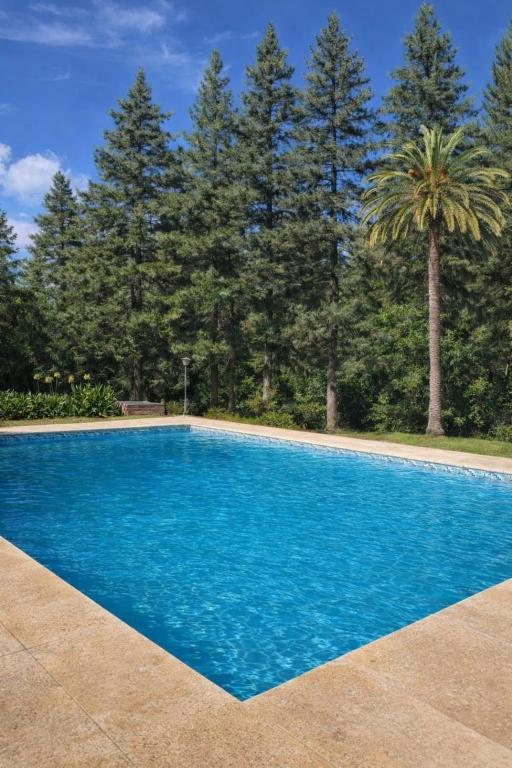 a blue swimming pool with a palm tree in the background at Los robles in San Pedro