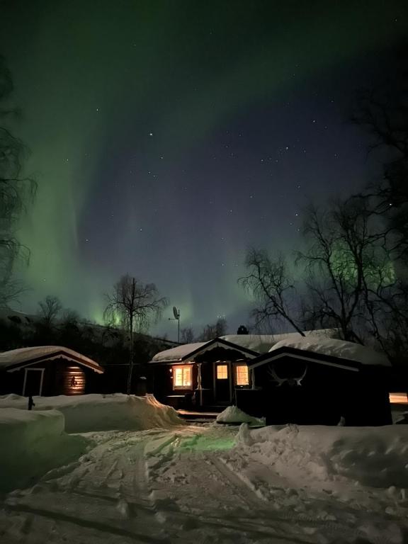 a cabin under the aurora in the snow at night at Koselig hytte in Skillemo