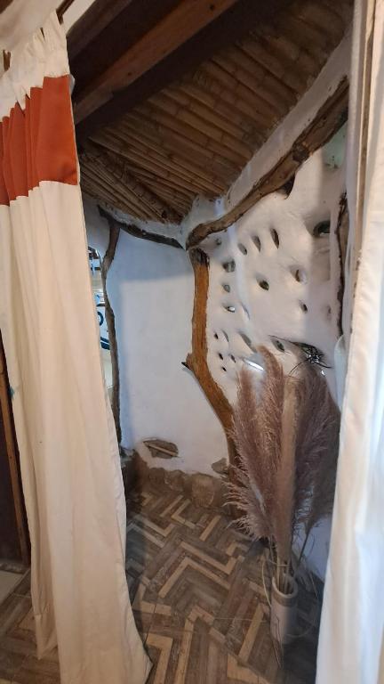 a room with a curtain and a tree on the wall at Biocasa in Villa Anizacate
