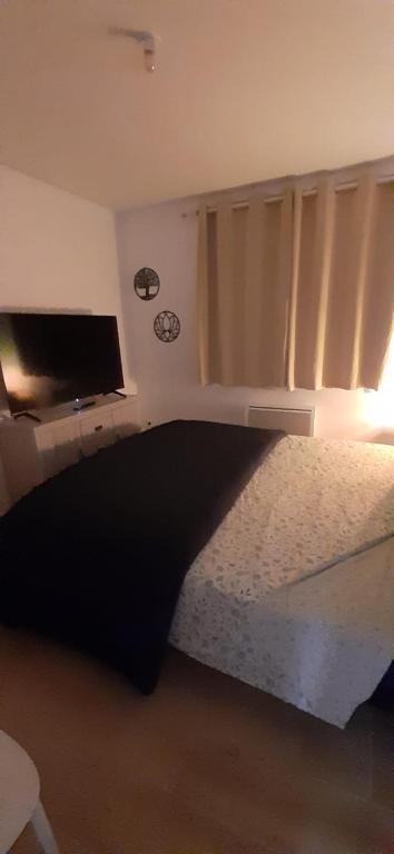 a bedroom with a bed and a tv and a window at Chambre privée villa montelimar in Montélimar