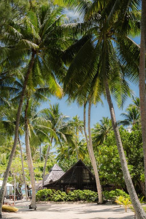 Vahine Private Island - photo 11 - Taha'a, Polynésie