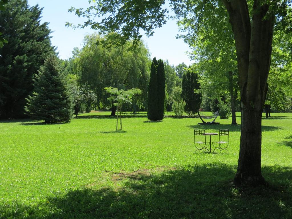 un parc avec un banc et un arbre dans l'herbe dans l'établissement La Campagne en Ville, à Laragne