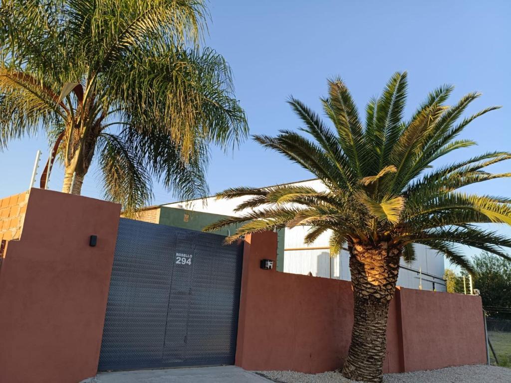 two palm trees in front of a building at Palmeras al sol in San Pedro