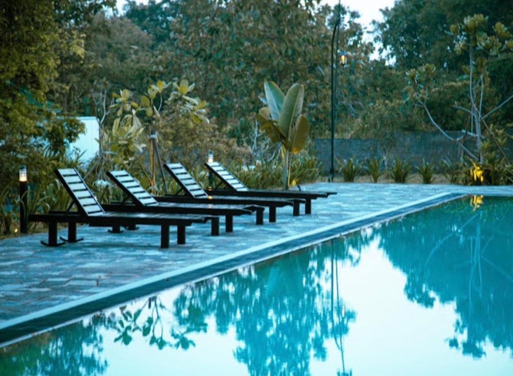 a row of chairs sitting next to a swimming pool at vainika wild sigiriya in Sigiriya