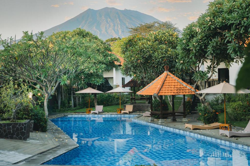 a swimming pool with a mountain in the background at Liberty Dive Resort in Tulamben