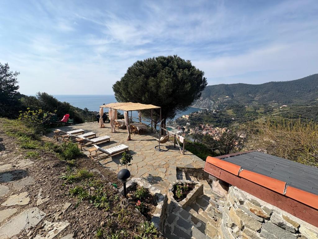 a group of benches sitting on top of a hill at Begasti guest house, for trekking lovers, free parking included in Monterosso al Mare