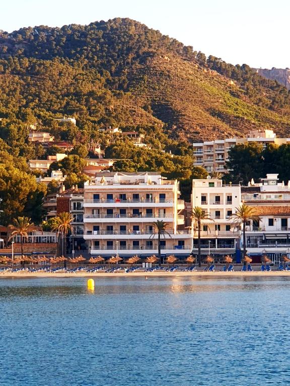 a hotel on the shore of a beach with palm trees at Carabela in Paguera