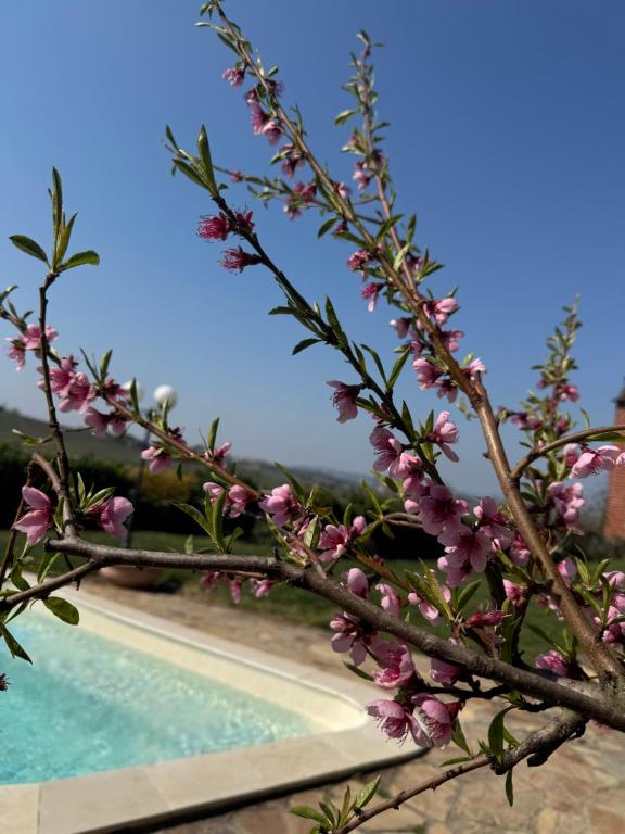 Agriturismo Ca d'Linet