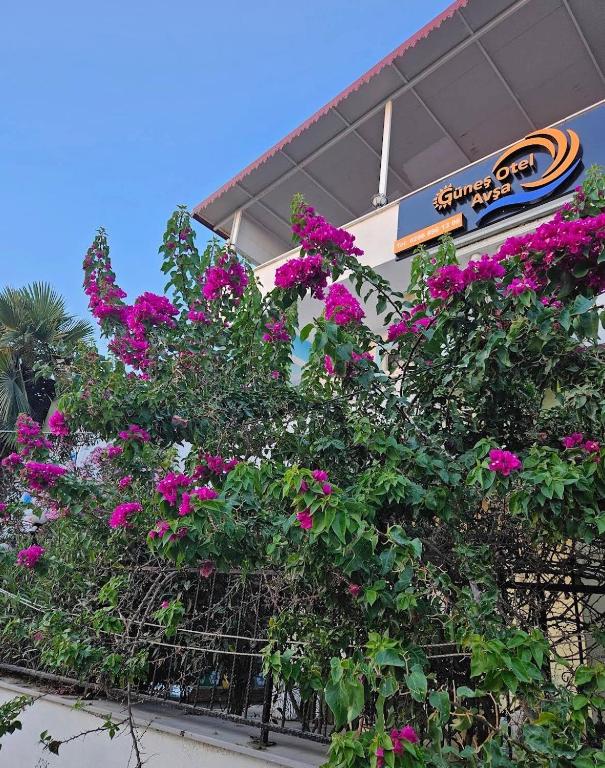Avşa Güneş Otel - Housity