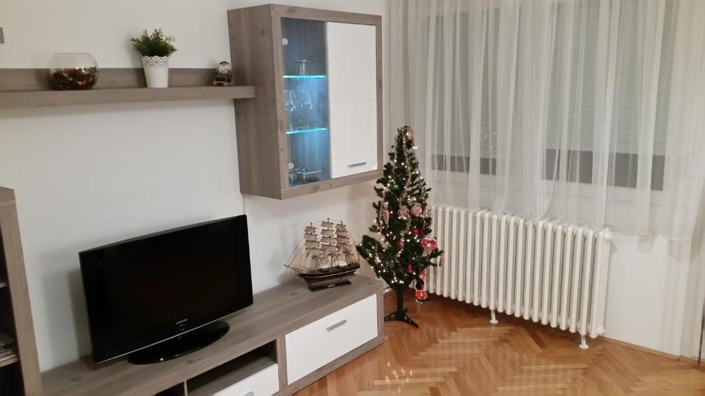 Telewizja i/lub zestaw kina domowego w obiekcie Apartmani Vedmar