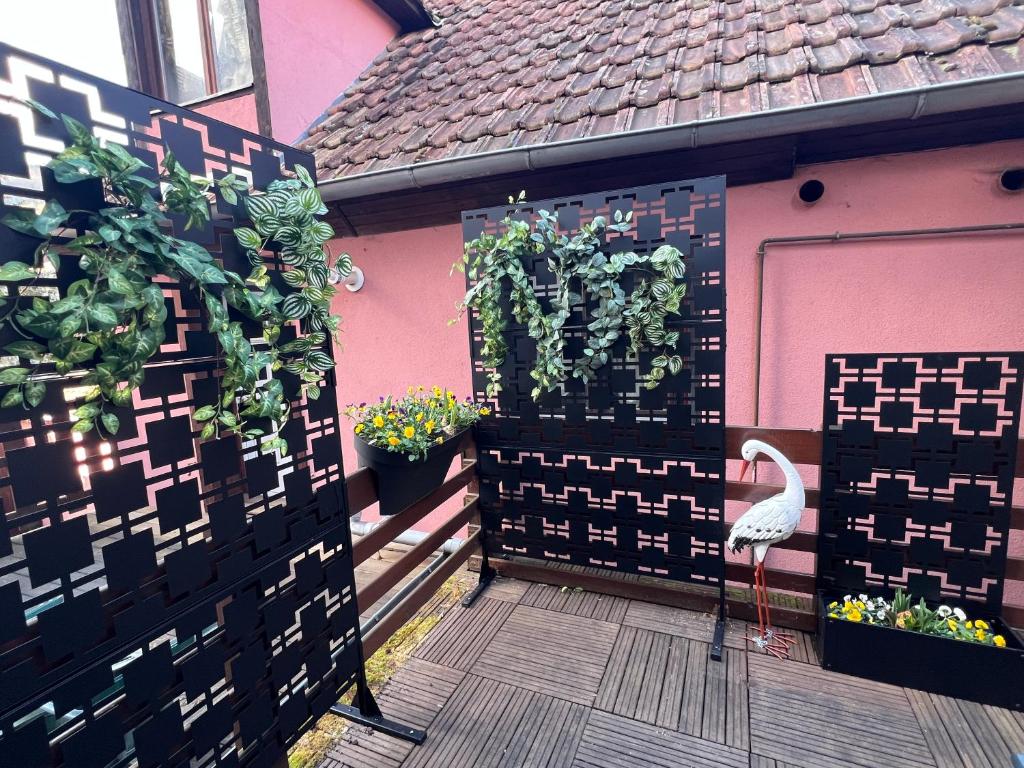 Gîte Cocon d Alsace - garage inclus - terrasses – photo 24