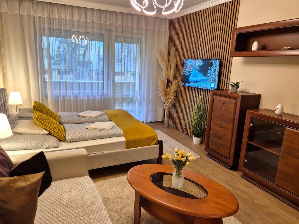 a living room with a couch and a tv at Jókai Apartman Szarvas in Szarvas