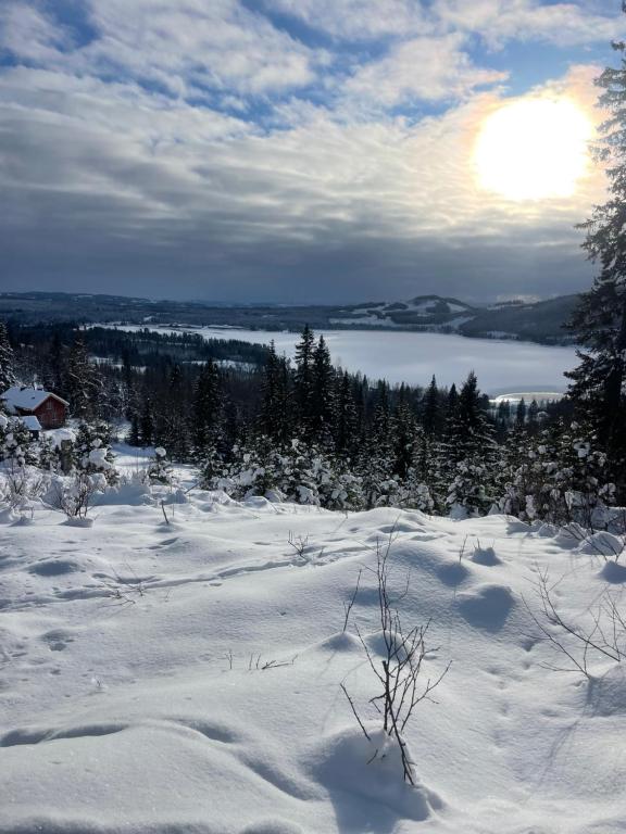 a snow covered hill with a view of a lake at Tiny house on wheels with great views Sjusjøen Minihus med utsikt Sjusjøen in Mesnali