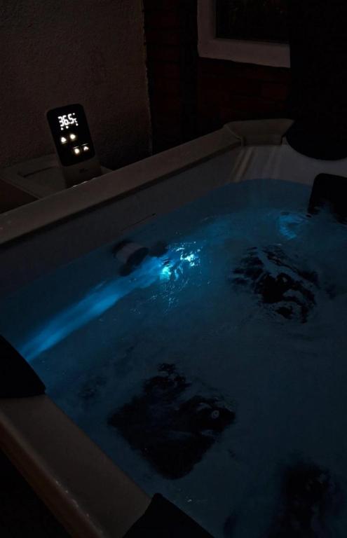 a bath tub filled with blue water in a dark room at Konak Jugovo in Smederevo