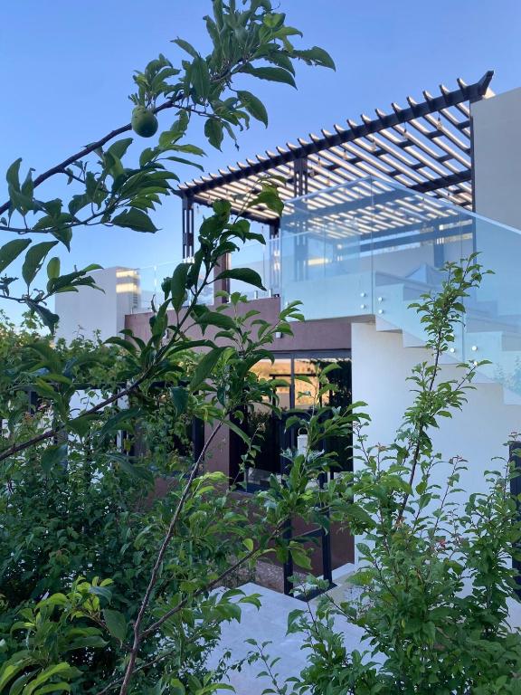 a house with a glass facade with trees at Zahret Al Roman in Sayq