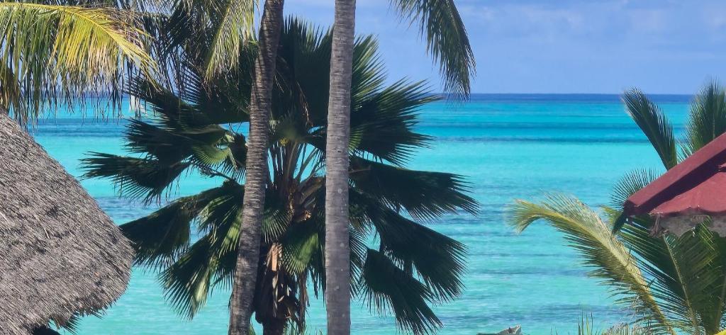 a view of the ocean from a resort with palm trees at The Twende Villa on Beach in Paje