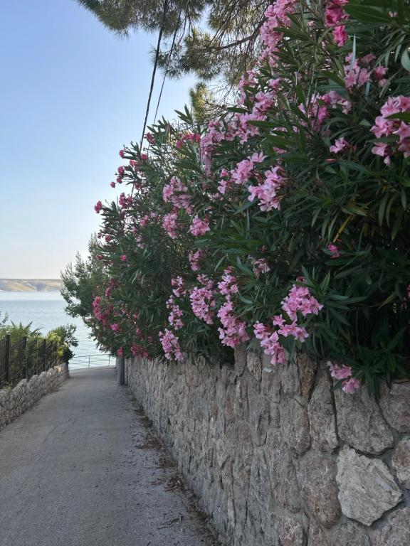 a stone wall with flowers on top of it at Nadalina 10 in Starigrad