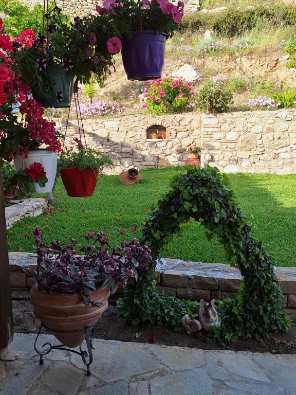 a garden with potted plants and a pot of flowers at Kerkis View House-Garden View in Karlovasi