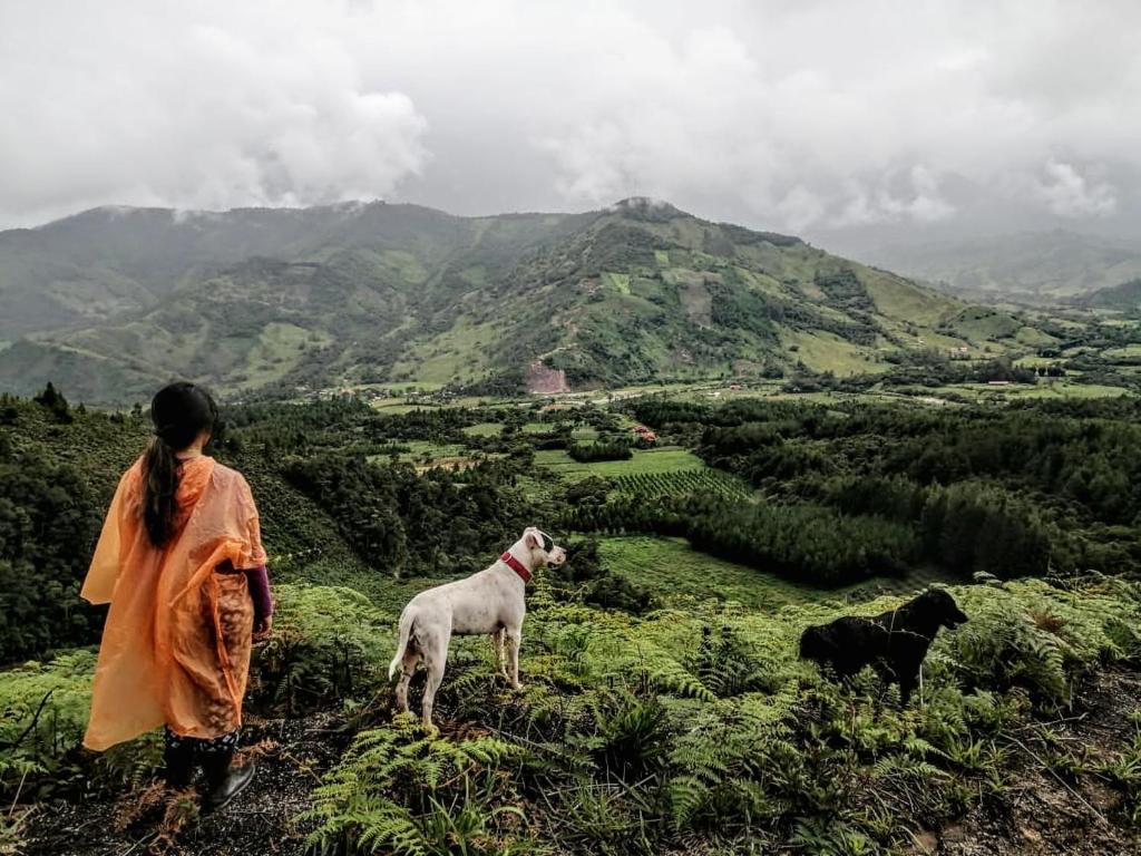 Villa Amaranto Oxapampa