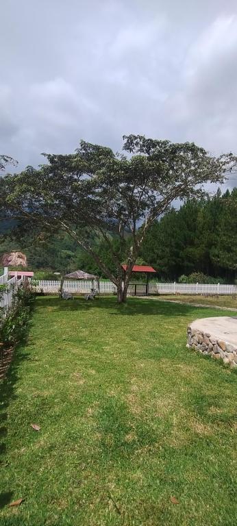 Villa Amaranto Oxapampa