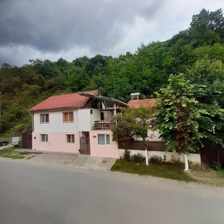 a white house with a red roof on the side of a road at CASA IZA in Băile Herculane