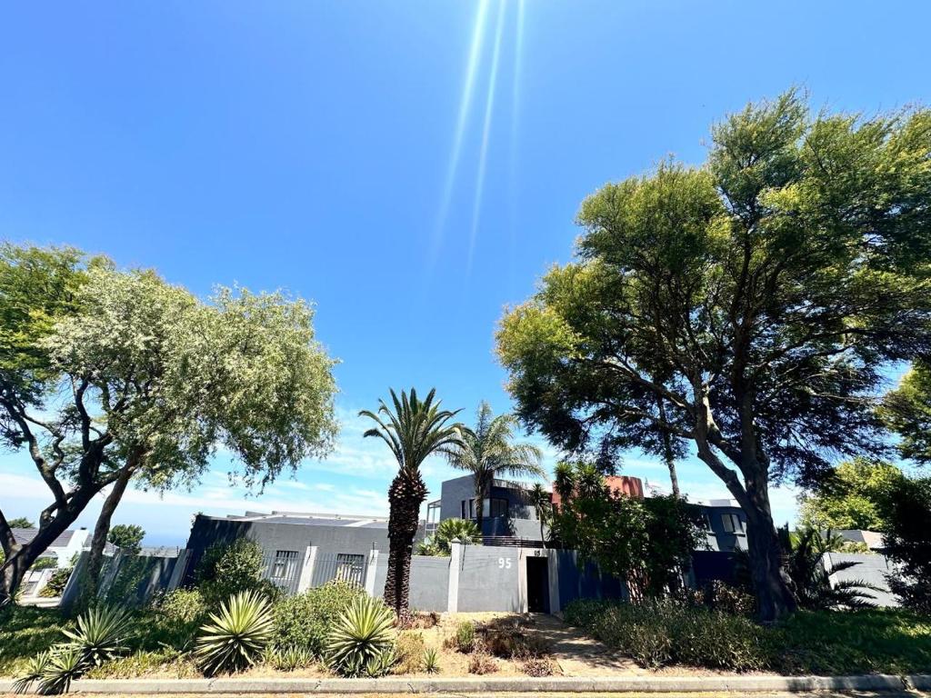 a palm tree in front of a house with trees at 95 on Acacia in Helderberg