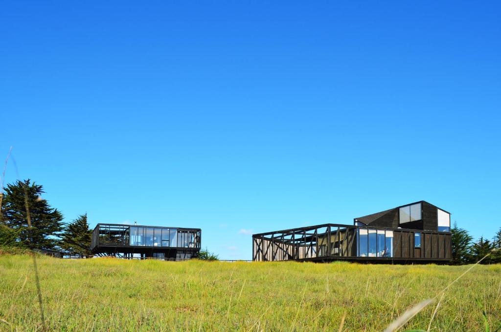 two houses on top of a grassy hill at Black House in Pichilemu