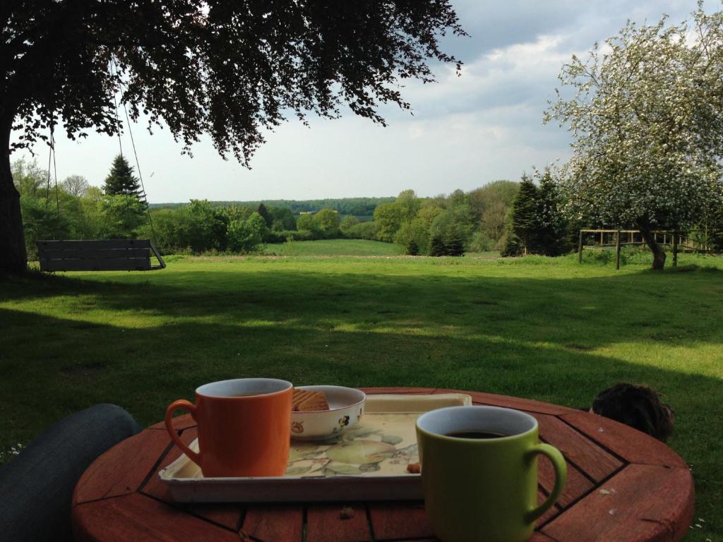 two coffee mugs on a tray on a table in the grass at Ferienwohnung 2 Hof Flüh in Klenzau
