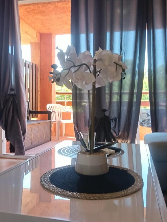 a vase with white flowers on a table at LES BULLES DE MONA - Marina Corse - 2 ch - Clim - Terrasse-pieds dans leau-plage in Ghisonaccia