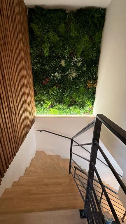 a view from the top of a stairs with a window at Appartement et spa in Douai