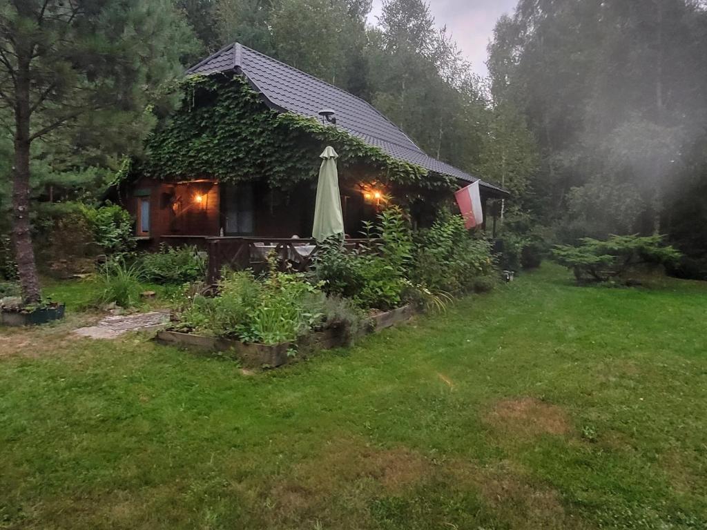 a house with an umbrella in a yard at Forest Sulimówka - dom na wyłączność z dala od sąsiadów in Ruda Kameralna