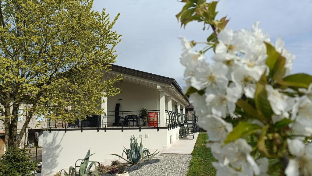 a house with white flowers in front of it at APPARTAMENTO " Le Terre del Garda " in Castelnuovo del Garda