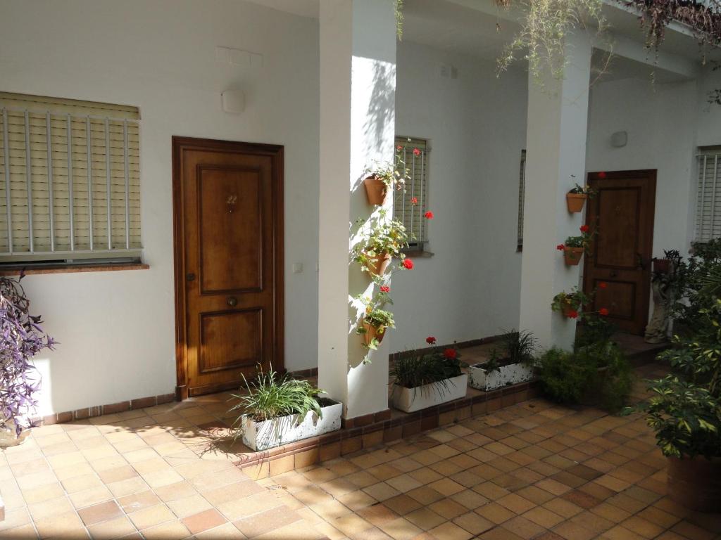 Zahrada ubytování Hotel El Coloso
