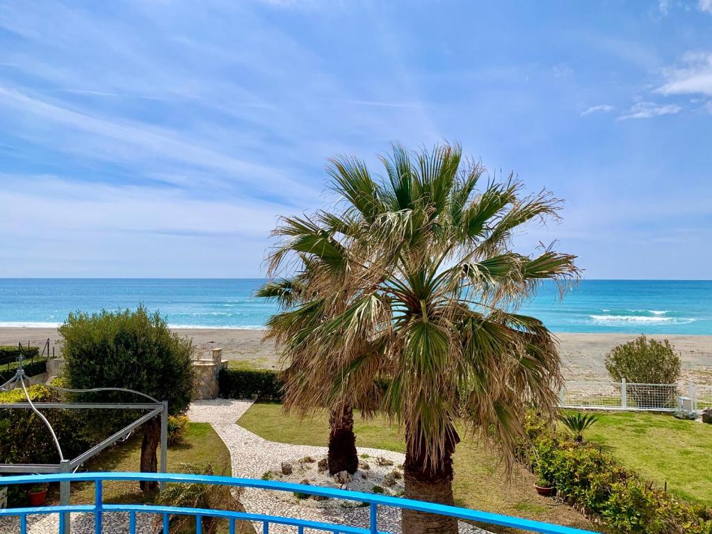 a palm tree on a walkway to the beach at Villa sul Mare in Belvedere Marittimo