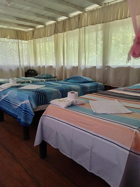 a group of three beds in a tent at Amazon Lodge Iquitos in Iquitos