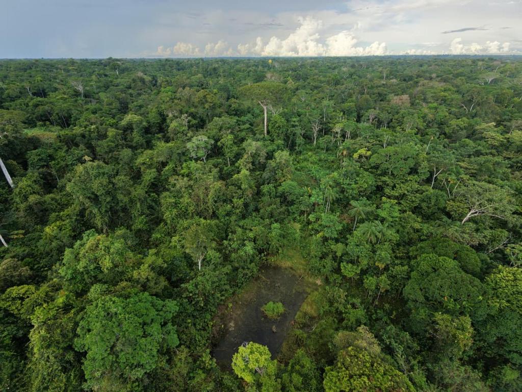 Amazon Jungle lodge -Experencia Indigena Yagua