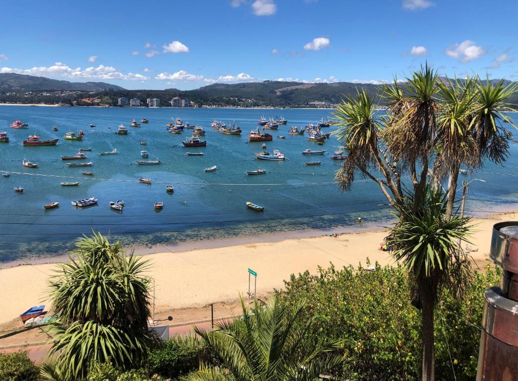 a group of boats in the water on a beach at Bahía Coliumo in Tomé